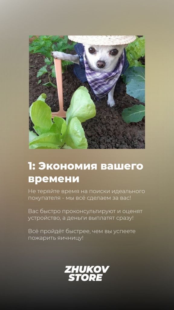 1715184771950.jpg 1715184771950.jpg